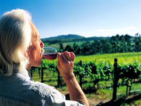 Ashton Hills Vineyard - Accommodation Redcliffe 0