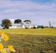 Lucindale Country Club - Accommodation Redcliffe