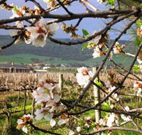 Cradle of Hills McLaren Vale Winery - Accommodation Redcliffe