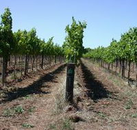 Temple Bruer Winery - Accommodation Redcliffe