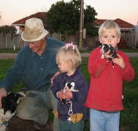 Orrie Cowie Merino and Poll Merino Stud - Accommodation Redcliffe