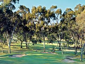 Tanunda Pines Golf Club - Accommodation Redcliffe 0