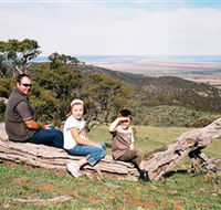Bridle Track - Accommodation Redcliffe