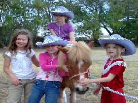 Amberainbow Pony Rides - Accommodation Redcliffe 0