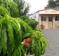 Gully Gardens - Accommodation Redcliffe