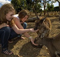 Kangaroo Island Wildlife Park - Accommodation Redcliffe
