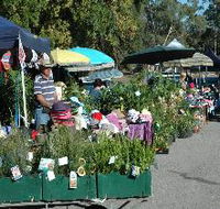 Meadows Monthly Market - Accommodation Redcliffe