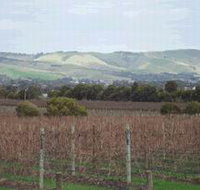Mclaren Vale Premium Wines - Accommodation Redcliffe