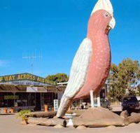 The Big Galah - Accommodation Redcliffe