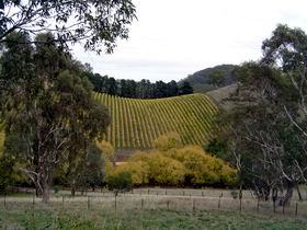 Mt Bera Vineyards - Accommodation Redcliffe 0