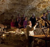 Naracoorte Caves National Park - Accommodation Redcliffe