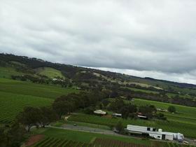 Kangarilla Road Vineyard And Winery - Accommodation Redcliffe 0