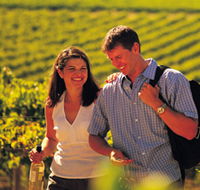 Lady Bay Vineyard - Accommodation Redcliffe