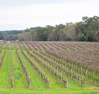 Dennis Wines - Accommodation Redcliffe