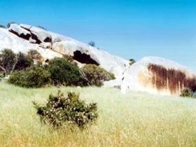 Ucontitchie Hill - Accommodation Redcliffe 0