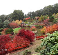 Emu Valley Rhododendron Garden - Accommodation Redcliffe