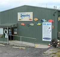 Stanley Seaquarium - Accommodation Redcliffe