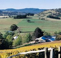 Freycinet Vineyards Pty Ltd - Accommodation Redcliffe