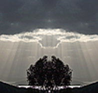 aart. Gallery of Fine Art - Accommodation Redcliffe