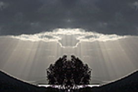 Aart. Gallery Of Fine Art - Accommodation Redcliffe 0