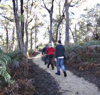 Bridport Walking Track - Accommodation Redcliffe