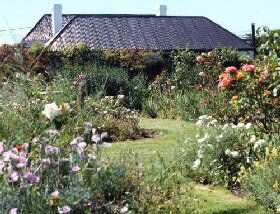 Rosedown Gardens - Accommodation Redcliffe 0