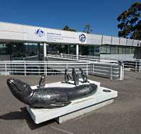 Australia's Antarctic Headquarters - Accommodation Redcliffe
