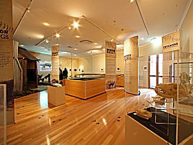 Tasmanian Tiger Exhibition - Accommodation Redcliffe 0