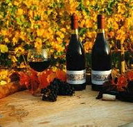 Craigow Vineyard - Accommodation Redcliffe
