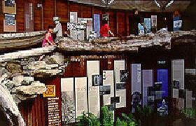West Coast Visitor Information And Booking Centre - Accommodation Redcliffe 0