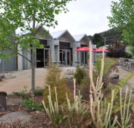 Tin Dragon Interpretation Centre and Cafe - Accommodation Redcliffe