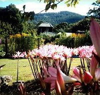 Blueberry Cottage Open Gardens - Accommodation Redcliffe