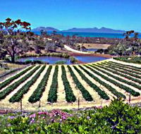 Kate's Berry Farm - Accommodation Redcliffe