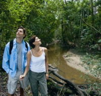 Mooloolah River National Park Jowarra Section - Accommodation Redcliffe