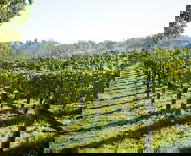 Surveyor's Hill Vineyards - Accommodation Redcliffe 0