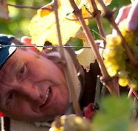 Puddleduck Vineyard - Accommodation Redcliffe