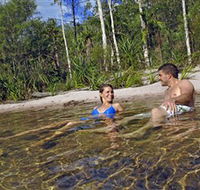 Tjaynera/Sandy Creek Falls - Accommodation Redcliffe
