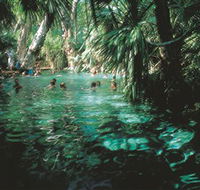 Mataranka Thermal Pool - Accommodation Redcliffe