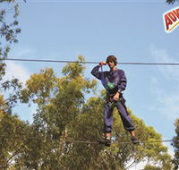 Adventure Parc at Currumbin Wildlife Sanctuary - Accommodation Redcliffe