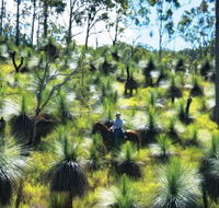 Bicentennial National Trail - Section 5 - Accommodation Redcliffe