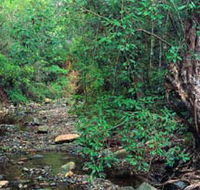 Mudlo National Park - Accommodation Redcliffe