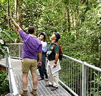 Daintree Discovery Centre - Accommodation Redcliffe