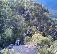 Mia Mia State Forest - Accommodation Redcliffe