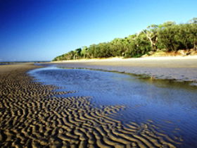 Burrum Coast National Park - Accommodation Redcliffe 0