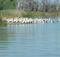 Lake Ross - Accommodation Redcliffe
