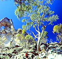Mount Moffatt Section - Carnarvon National Park - Accommodation Redcliffe