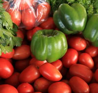 Burleigh Heads Markets - Accommodation Redcliffe