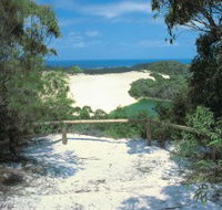 Lake Wabby Track - Accommodation Redcliffe