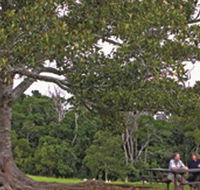 Ravensbourne National Park - Accommodation Redcliffe