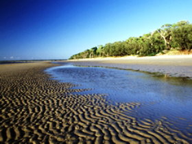 Kinkuna Section - Accommodation Redcliffe 0